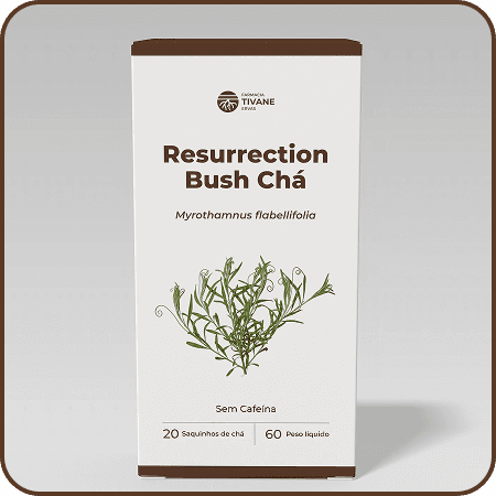 Chá Resurrection Bush - Imagem 3